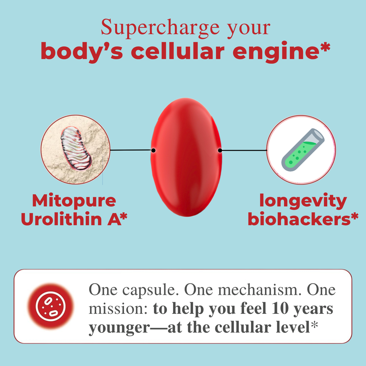 Mitopure Urolithin A